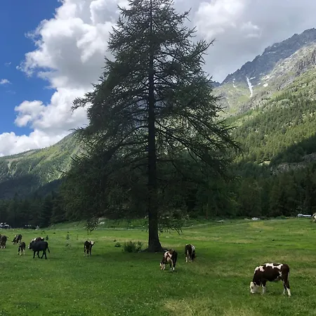 Maison Constance Alojamento de Acomodação e Pequeno-almoço Bionaz