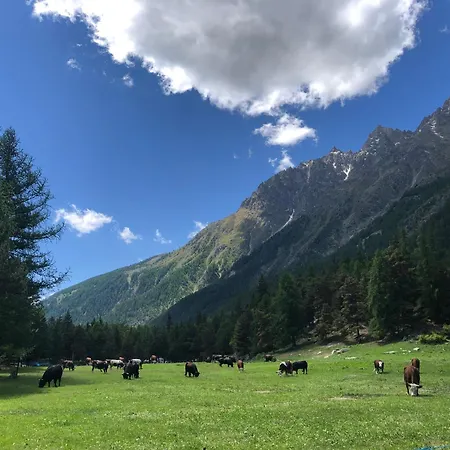 Maison Constance Bed & Breakfast Bionaz