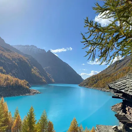 Maison Constance Bionaz