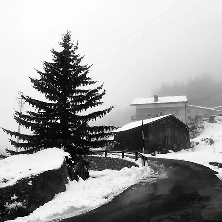 Maison Constance לינה וארוחת בוקר Bionaz