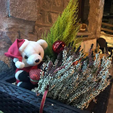 Maison Constance לינה וארוחת בוקר