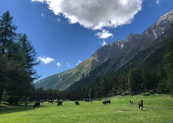 Maison Constance Couette-café Bionaz