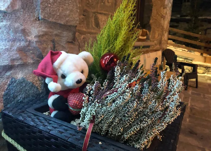 Maison Constance Bed & Breakfast