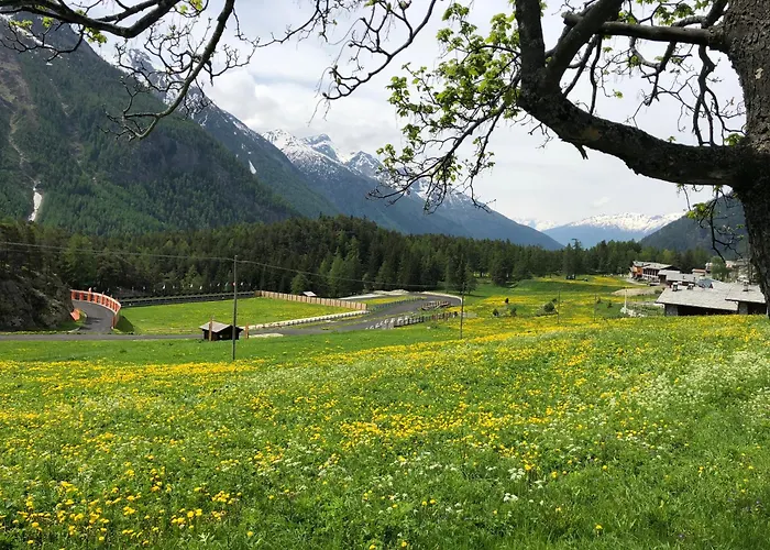 Bed & Breakfast Maison Constance